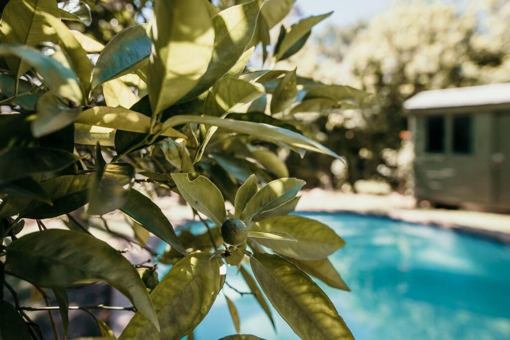 Classic Greyton Cottage For Two Luaran gambar